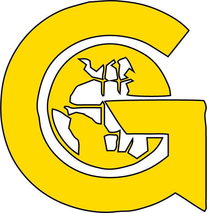 boost organic traffic with garage2global